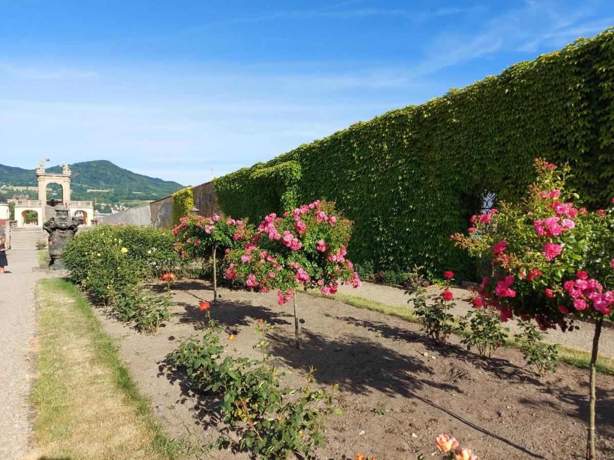 Apartments Rose Garden Decin Exterior foto